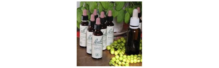 Nelson Bach Products